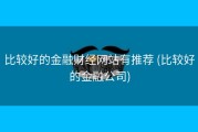 比较好的金融财经网站有推荐 (比较好的金融公司)