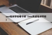 seo培训学校哪个好（seo实战培训学校）