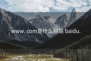 www. com是什么网站 baidu.