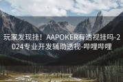 玩家发现挂！AAPOKER有透视挂吗-2024专业开发辅助透视-哔哩哔哩