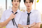 应该怎么去迷信正当统计 seo的业绩以询盘量来量化 (应该怎么去迷路呢)