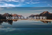 SEO提升怎样样 (seo提升营销)