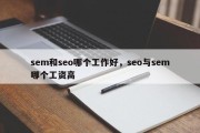 sem和seo哪个工作好，seo与sem哪个工资高