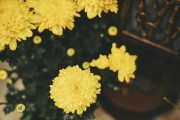 环保行业属什么 (环保行业属什么职业)