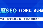 探讨SEO效果及排名周期，百度SEO真实预算支出多少？