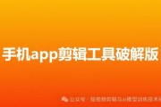 AI 短视频工具分享：手机端 app 成为高粱 seo 分享重点