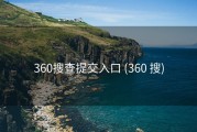 360搜查提交入口 (360 搜)