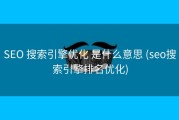 SEO 搜索引擎优化 是什么意思 (seo搜索引擎排名优化)
