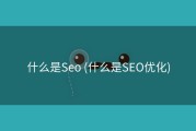 什么是Seo (什么是SEO优化)