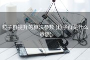 粒子群提升的算法参数 (粒子群是什么意思)