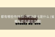 都有哪些作用 SEO网站优化是什么 (省略号都有哪些作用)
