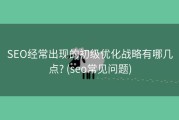 SEO经常出现的初级优化战略有哪几点? (seo常见问题)