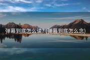 弹幕到底怎么读? (弹幕到底怎么念)
