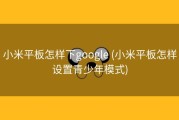 小米平板怎样下google (小米平板怎样设置青少年模式)