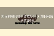 如何利用问答平台做好SEO (如何利用问答赚钱)