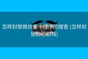 怎样封锁微信里小程序的搜查 (怎样封锁微信游戏)