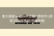 重大通报!wepoker透视作弊软件!(透视)2024版教程(哔哩哔哩)