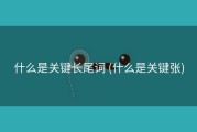 什么是关键长尾词 (什么是关键张)
