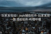 玩家发现挂！wpk辅助软件-玩家发现一款透视软件-哔哩哔哩