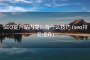 SEO提升站内提升有什么技巧 (seo排名提升)