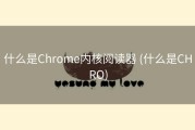 什么是Chrome内核阅读器 (什么是CHRO)
