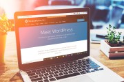 wordpress怎样优化seo?