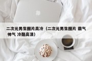 二次元男生图片高冷（二次元男生图片 霸气 帅气 冷酷高清）