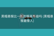 黑帽悬猴比一般的猴高等级吗 (黑帽悬猴最像人)