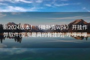 新2024版本！（微扑克wpk）开挂作弊软件(原来是真的有挂的)-哔哩哔哩