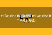 付费的网络推广有哪些 (付费的网络推广渠道有哪些)