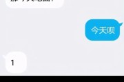探索网络用语中的数字1：起源、含义与广泛应用