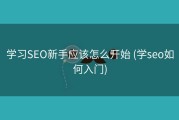 学习SEO新手应该怎么开始 (学seo如何入门)