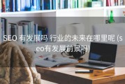 SEO 有发展吗 行业的未来在哪里呢 (seo有发展前景吗)