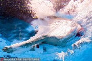 从奥运赛场到泳池大海：高科技泳衣如何引领游泳装备市场变革