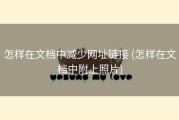 怎样在文档中减少网址链接 (怎样在文档中附上照片)