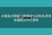 必看盘点揭秘!大鹏展翅有没有挂,原来有猫腻2024已更新