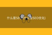 什么是SEO (什么是SEO优化)
