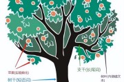 seo优化有什么作用 (SEO优化有百度系和什么)