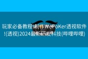 玩家必备教程!制作WePoKer透视软件!(透视)2024最新研发科技(哔哩哔哩)