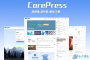 Wordpress网站SEO提升插件有哪些 (wordpress购物网站)