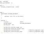 做tcp反向代理时为什么衔接数不能超越512 下nginx 1.16.3 win7 (tcp反向代理)