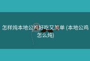 怎样炖本地公鸡好吃又简单 (本地公鸡怎么炖)