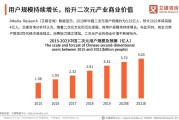 2020年中国二次元视频行业报告：市场规模扩大与用户增长趋势分析
