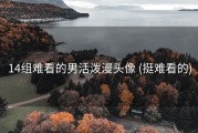 14组难看的男活泼漫头像 (挺难看的)