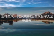 王样战队一共多少集 (王战队名字大全要霸气)