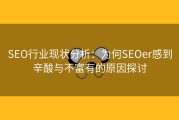 SEO行业现状分析：为何SEOer感到辛酸与不富有的原因探讨