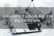 灰帽SEO技术 什么是白帽 黑帽 (灰帽黑客这本书怎么样)