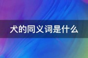 的同义词是什么 优化 同义词 最好显得比拟有深度 (的同义词或近义词)