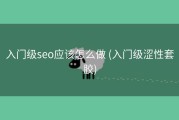 入门级seo应该怎么做 (入门级涩性套胶)