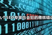 SEO诊断案例 (seo网站诊断文档案例)